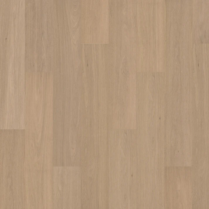 Harrison 9-14″